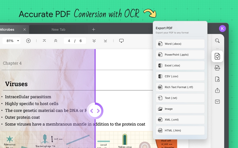 5 Best PDF to Text Converters You Can't-Miss