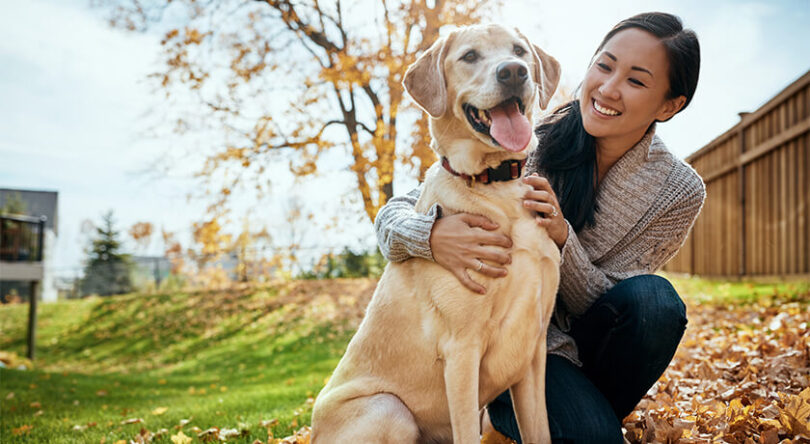 Top 16 Most Friendly Dog Breeds Withinside the World ⋆ Article Good