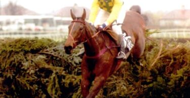 John White and Esha Ness clear the last fence of the 1993 Grand National course