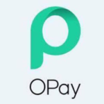 How to Get a Loan from the OPay App